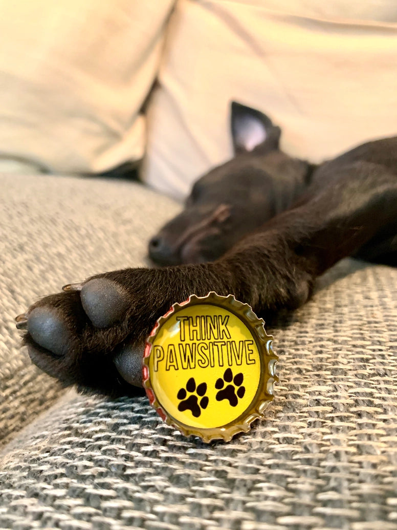 Dog Lover Magnets by Kate's Magnets – Handmade, Eco-Friendly Gifts