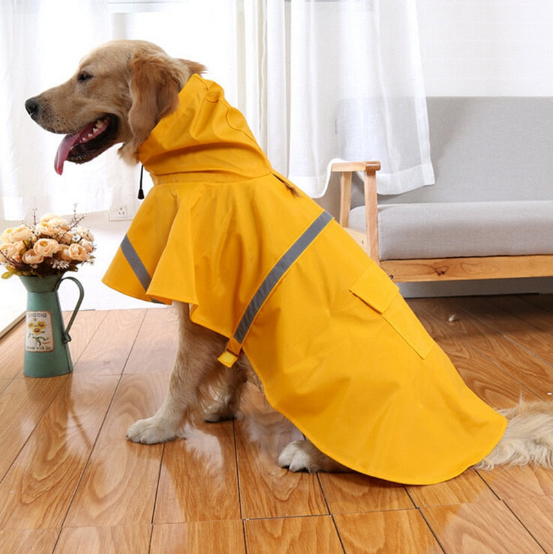 Walk Your Furry Friend with Style – Pet Raincoats Available Now!