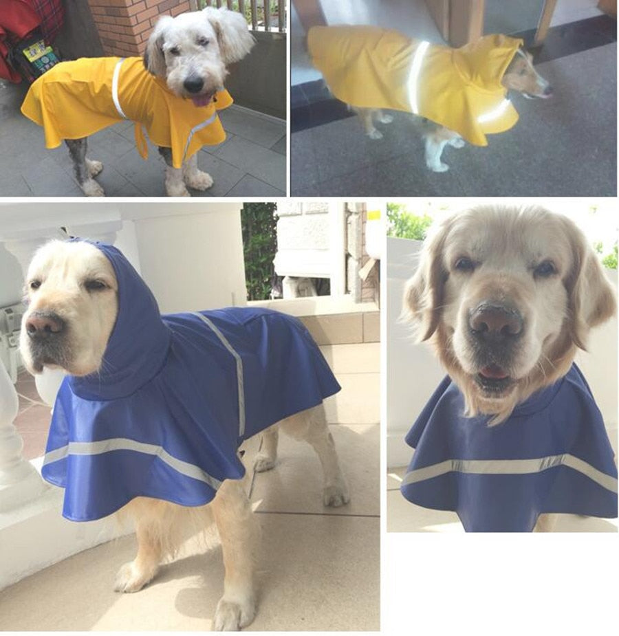 Walk Your Furry Friend with Style – Pet Raincoats Available Now!